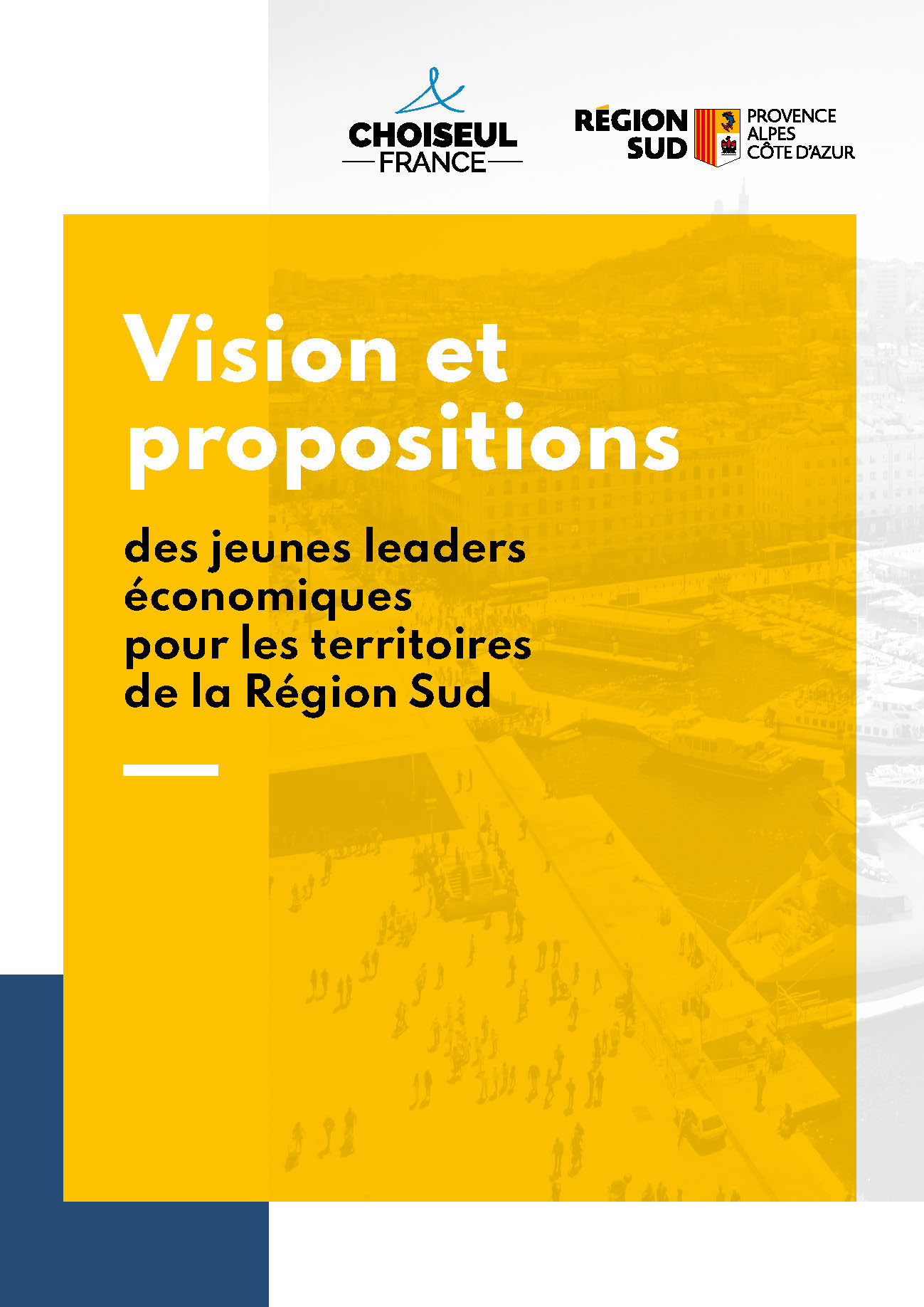 Vision et propositions des jeunes leaders économiques pour les territoires de la Région Sud