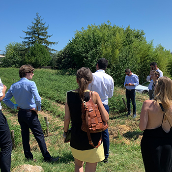 Visite de terrain Choiseul Région Sud